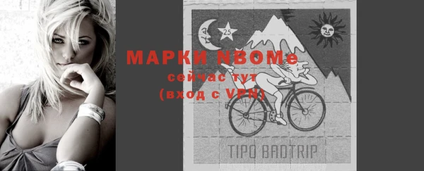 шишки Верхний Тагил