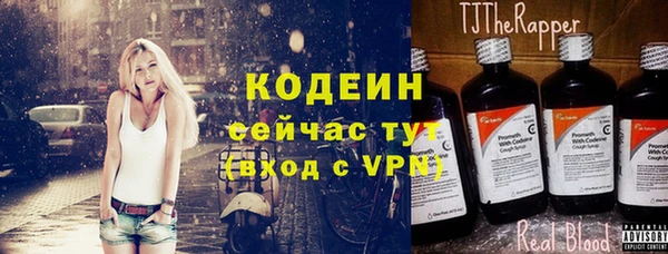 шишки Верхний Тагил