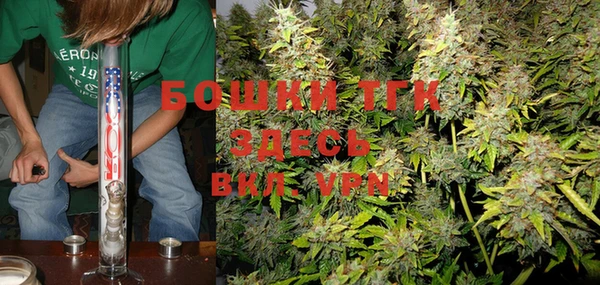 шишки Верхний Тагил