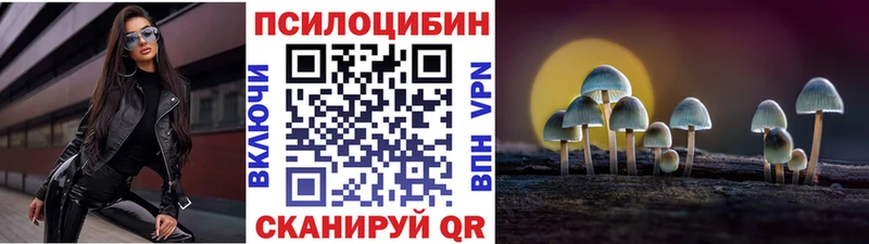 купить Семёнов Псилоцибиновые грибы Psilocybine cubensis